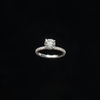 Solitaire Ring with Pavé Loop Band
