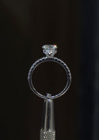 Elegant Pavé Solitaire Ring