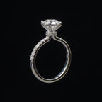 Solitaire Ring with Pavé Loop Band