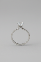 Solitaire Ring with Pavé Loop Band