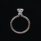 Solitaire Ring with Pavé Loop Band